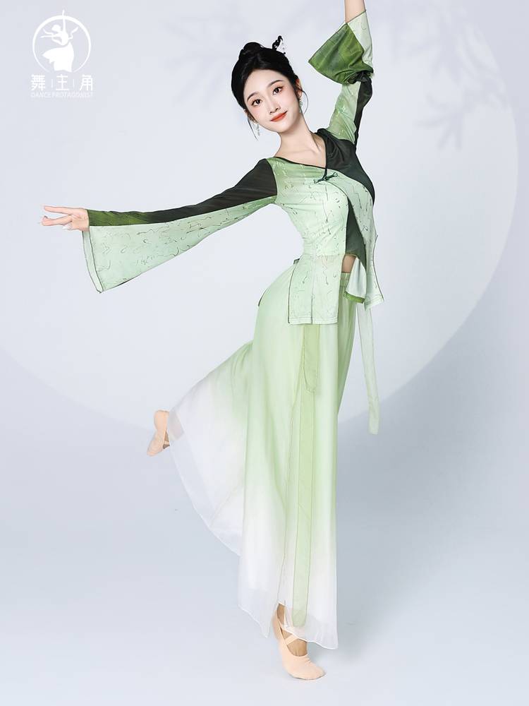 Dance protagonist Classical dance clothing female elegant practice clothing female summer adult jacket gradient color ink Chinese dance