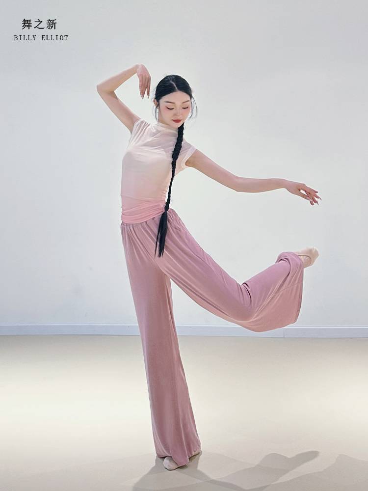 Net yarn dance top 2024 new modern dance short -sleeved ballet dress gauze dress summer classical dance exercise uniform