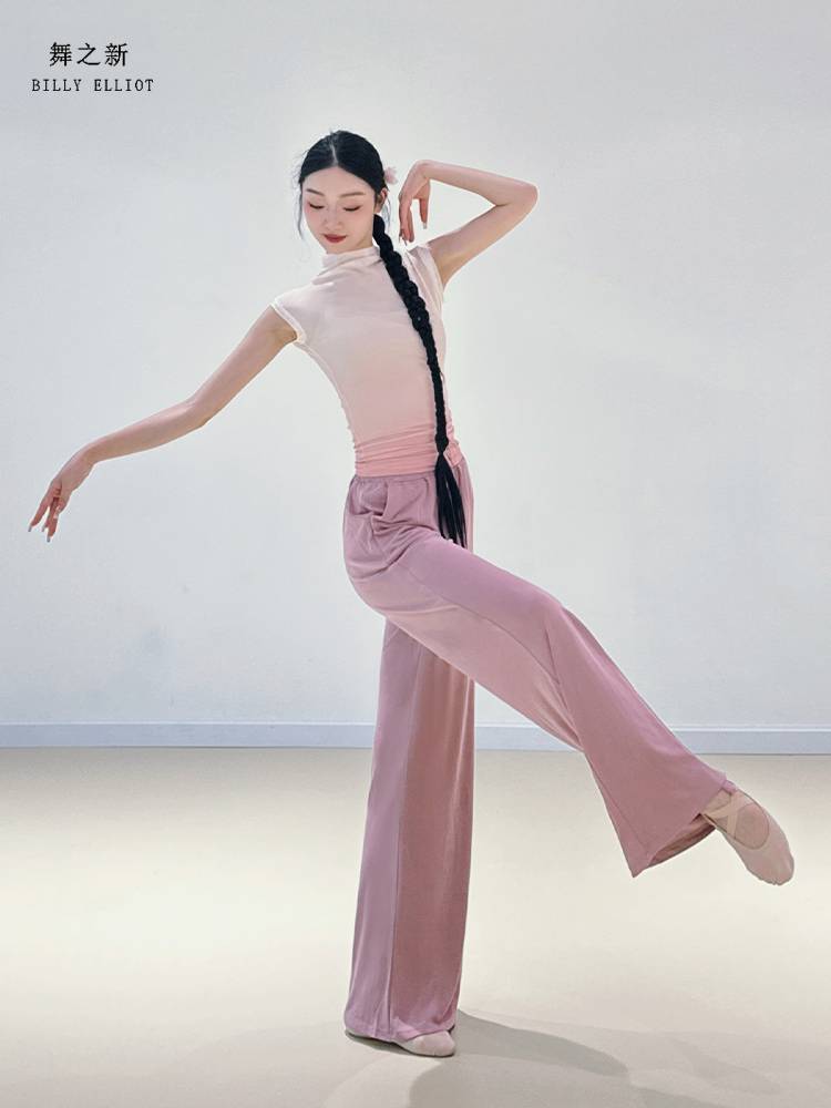 Net yarn dance top 2024 new modern dance short -sleeved ballet dress gauze dress summer classical dance exercise uniform