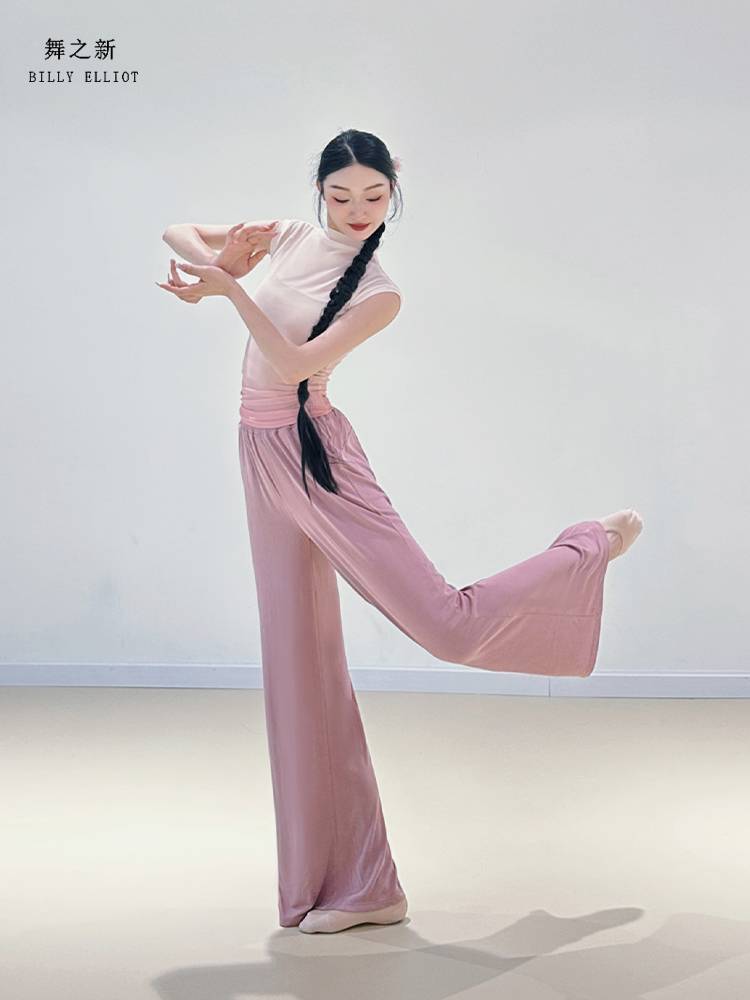 Net yarn dance top 2024 new modern dance short -sleeved ballet dress gauze dress summer classical dance exercise uniform