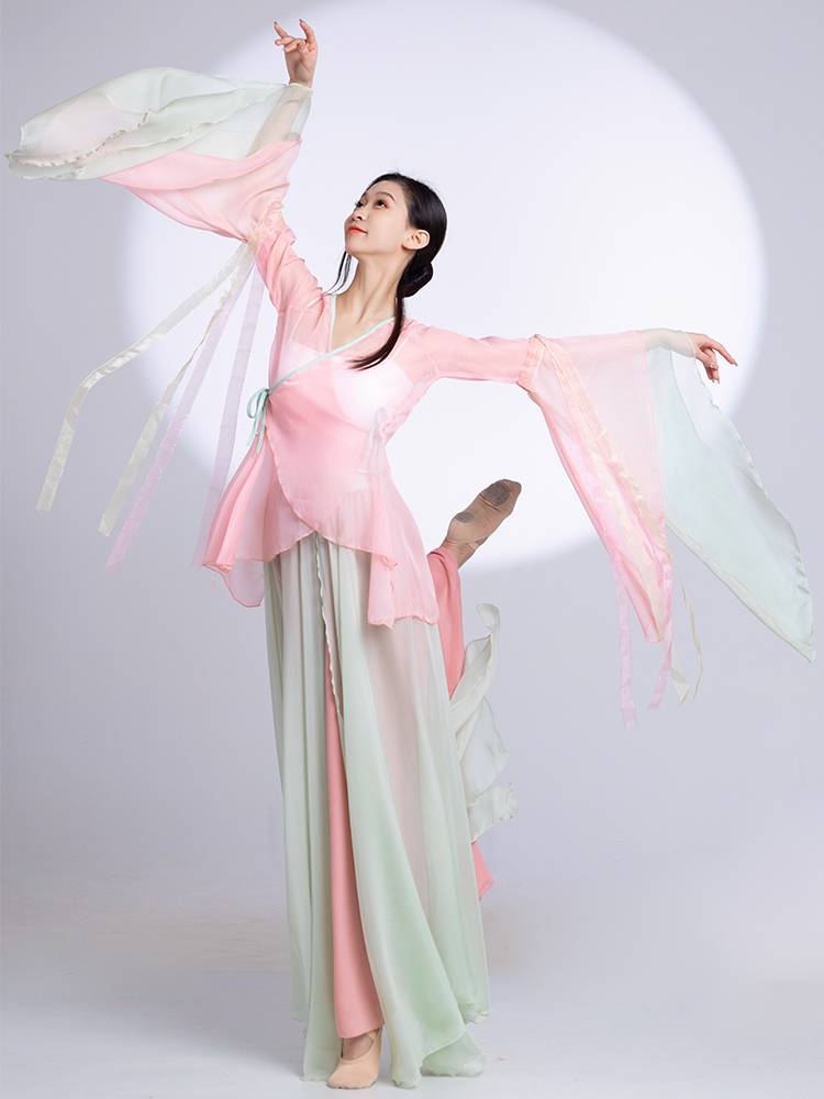 Classical dance thin gauze body rhyme, elegant and immortal Chinese dance exercise performance service show Chinese dance show performance set spring