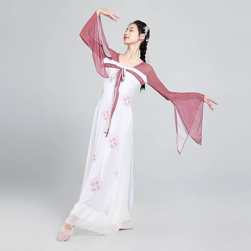 Classical Dance Performance Services Permanent Net Sini Test Performance Female Graphy Rhymes and Butterfly Chinese Dance Service