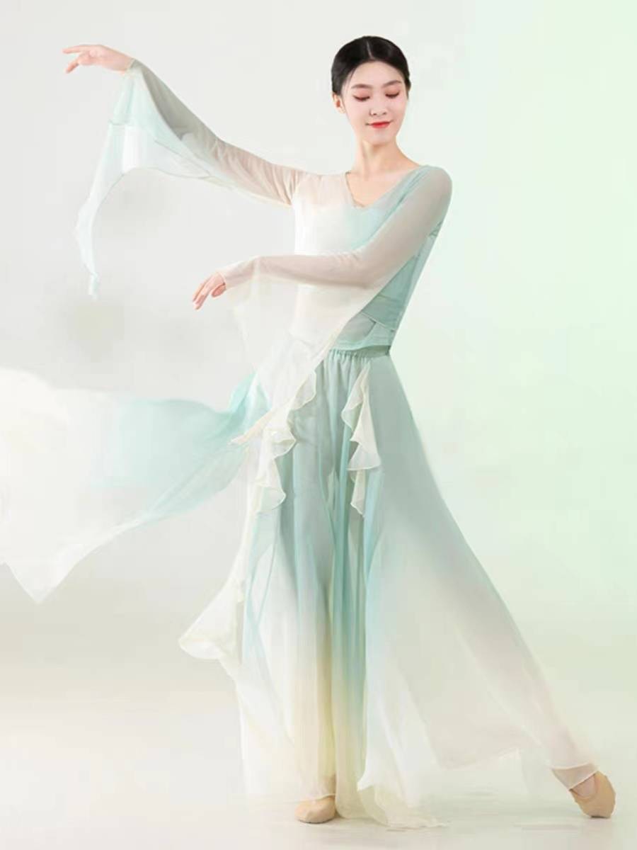 Classical dance elegant fairy petals skirt jumpsuits set gradient net gauze Chinese dance clothing ancient wind art test practice clothing