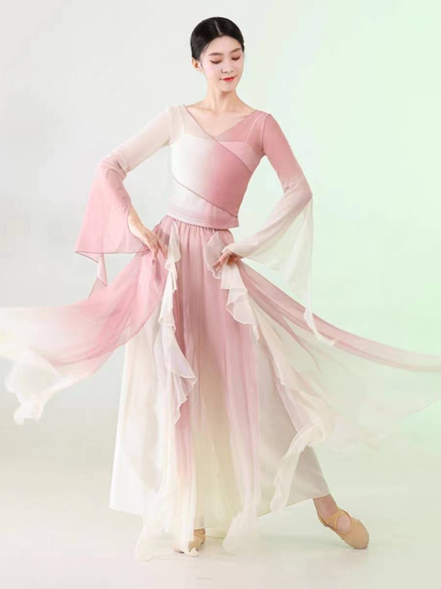Classical dance elegant fairy petals skirt jumpsuits set gradient net gauze Chinese dance clothing ancient wind art test practice clothing