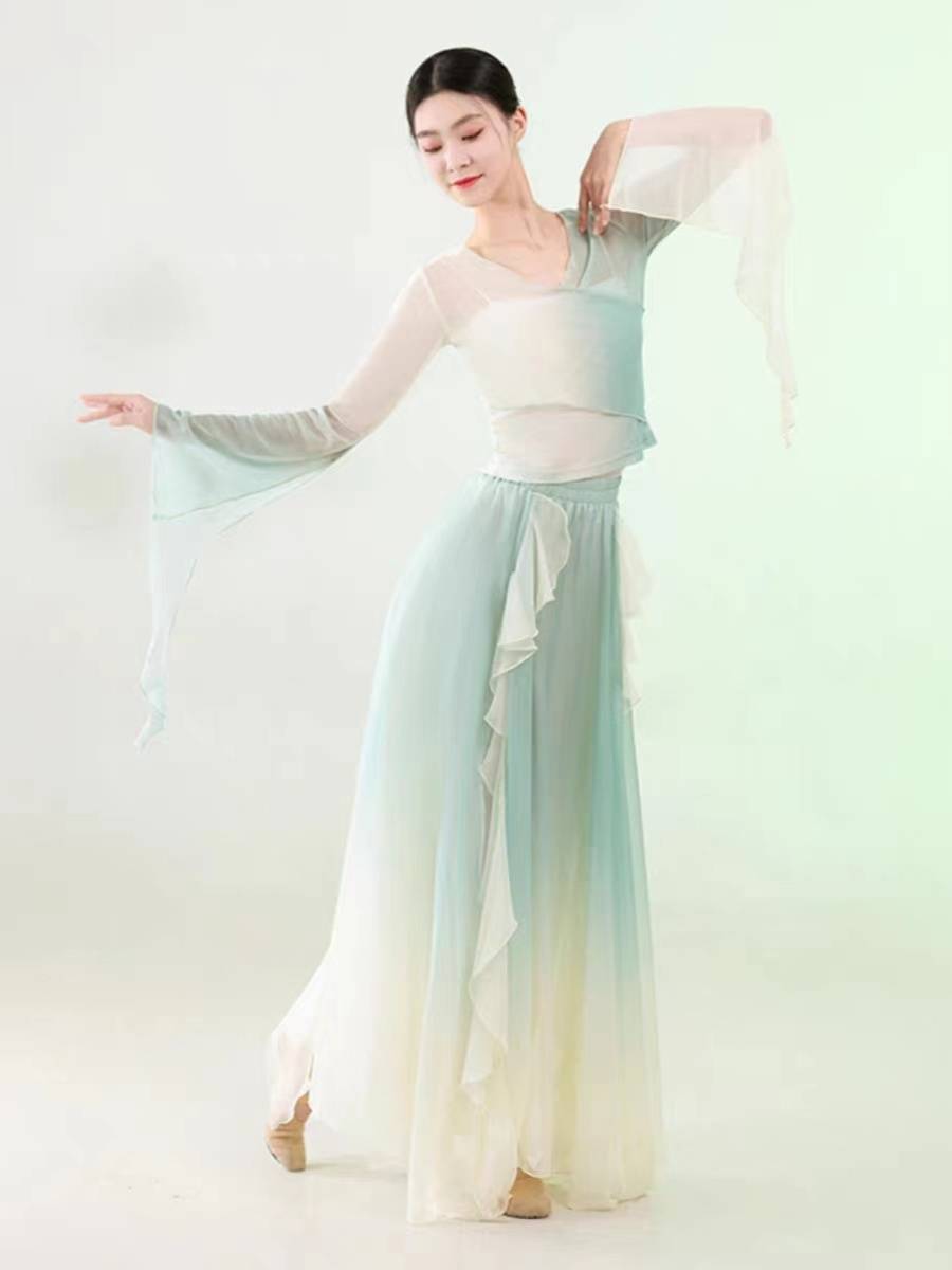 Classical dance elegant fairy petals skirt jumpsuits set gradient net gauze Chinese dance clothing ancient wind art test practice clothing