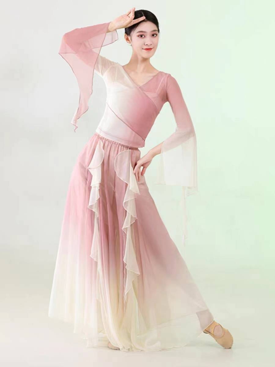 Classical dance elegant fairy petals skirt jumpsuits set gradient net gauze Chinese dance clothing ancient wind art test practice clothing