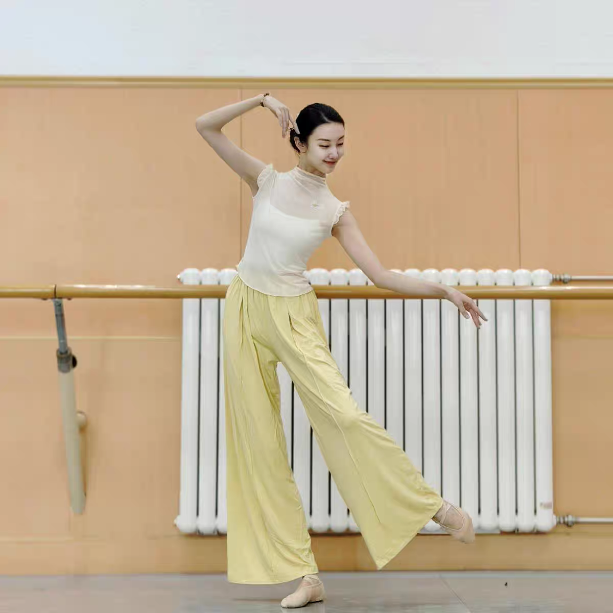 Classical dance gauze short -sleeved practice clothes slim butterfly dance clothing clothes, Chinese dance body rhyme, national style