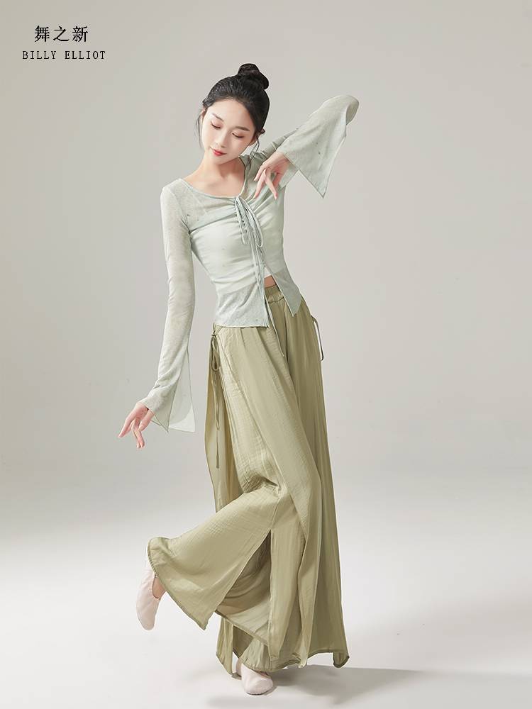 Classical dance new top shirt, body rhyme gauze performance service female elegant 2023 practice service Chinese dance dance service summer