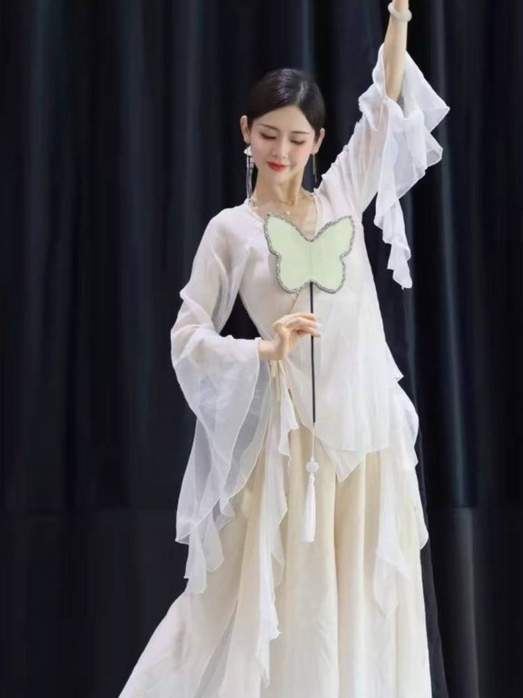New classical dance clothing, elegant chiffon large sleeve gauze female Chinese dance exercise, ancient style Hanfu performance service