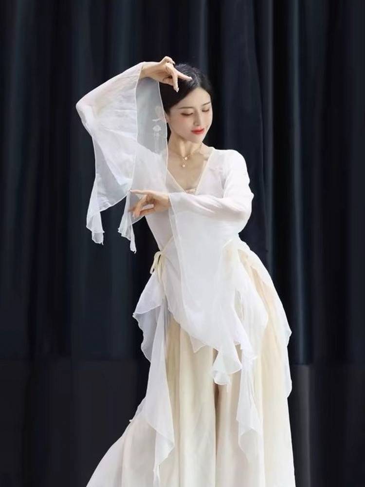 New classical dance clothing, elegant chiffon large sleeve gauze female Chinese dance exercise, ancient style Hanfu performance service