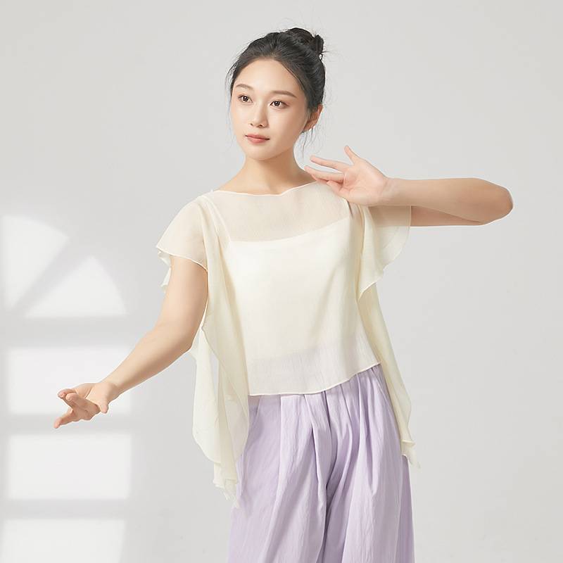 Chinese classical dance clothing body rhyme, elegant fairy gauze clothes practice suit, adult body clothes, clothes art test performance