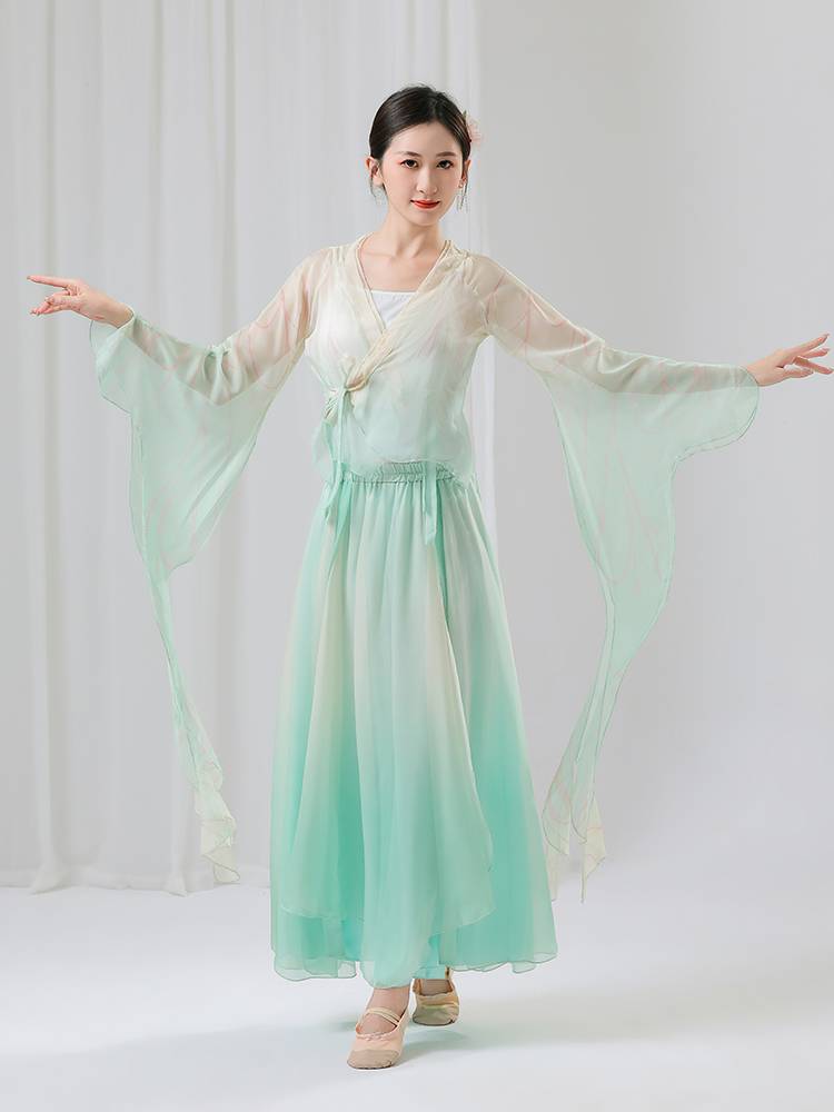 Classical dance clothing female gradually transforms into rhyme gauze butterfly dance clothing Chinese dance elegant fairy performance clothing performance clothing