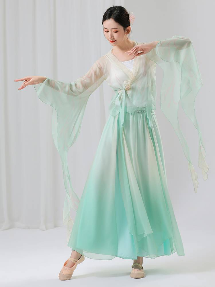 Classical dance clothing female gradually transforms into rhyme gauze butterfly dance clothing Chinese dance elegant fairy performance clothing performance clothing