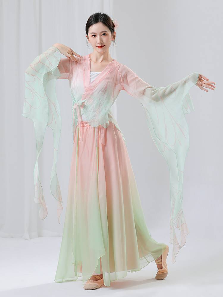 Classical dance clothing female gradually transforms into rhyme gauze butterfly dance clothing Chinese dance elegant fairy performance clothing performance clothing
