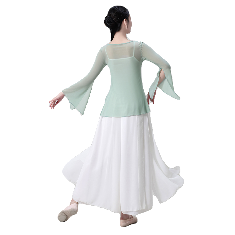 Classical dance service body rhyme gauze fairy -elevant performance service Hanfu chiffon top Chinese dance exercises performance service