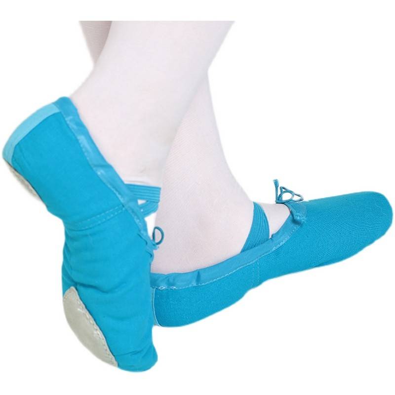 Dance shoes Female soft bottom Classical Chinese children's ballet special girl dance shoes practice the adult cat paw pink