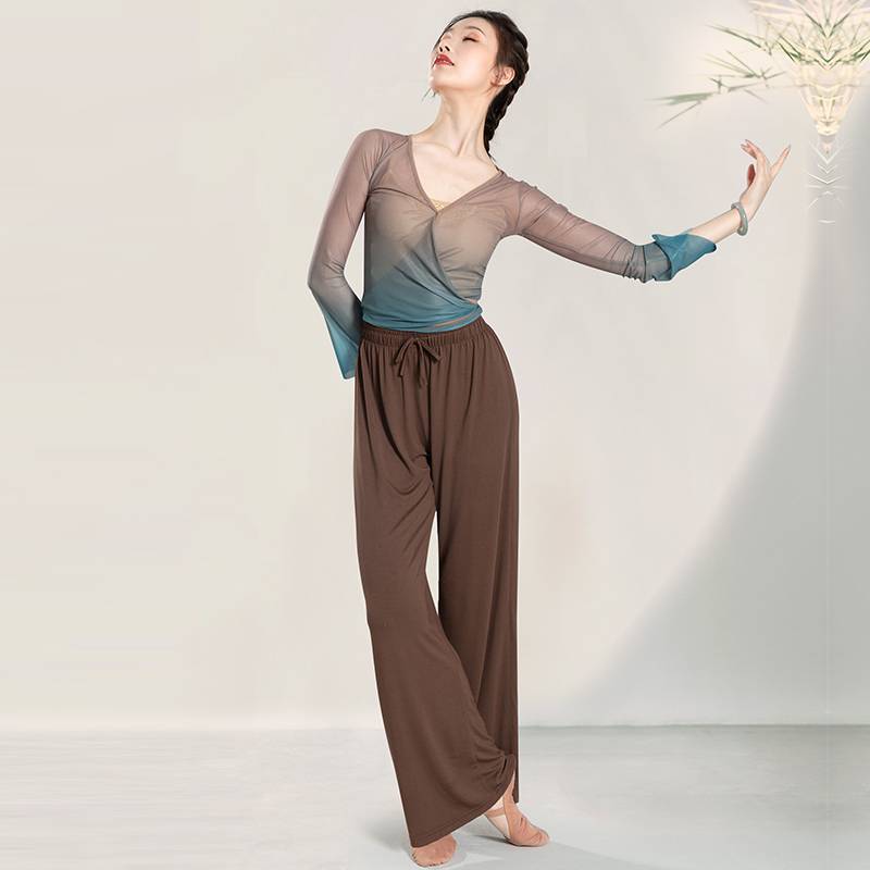 Dance Modern Dance Pants Chinese Dance Practice Clothing Four Seasons Extraordinary Classical Dance Body Wide Leg Pants