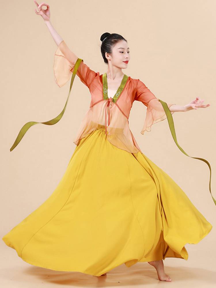 Xuan Palace Classical Dance Dance Dressing Dress Dress Girls Performing Rhyme Yaosa Performance Series Wide -legged Pants Two -piece