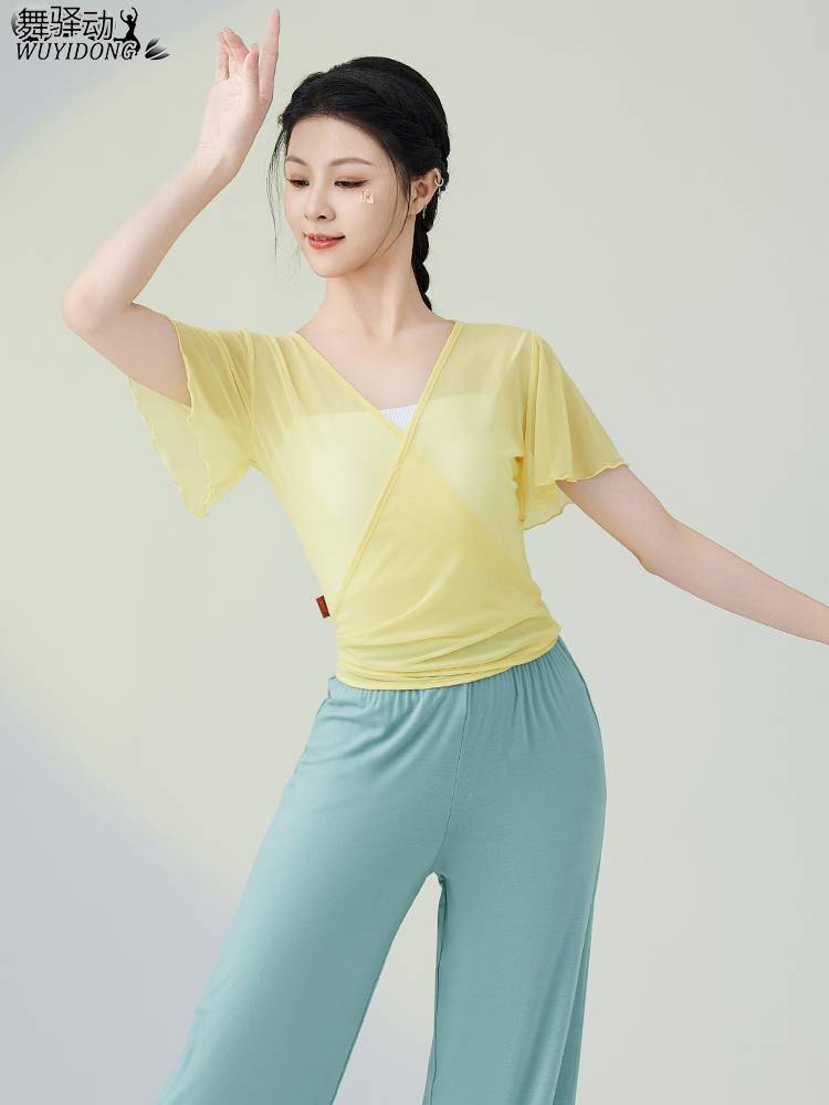 Dance gauze classical dance service summer new elegant net gauze Chinese dance base training skills