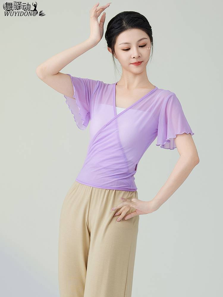 Dance gauze classical dance service summer new elegant net gauze Chinese dance base training skills