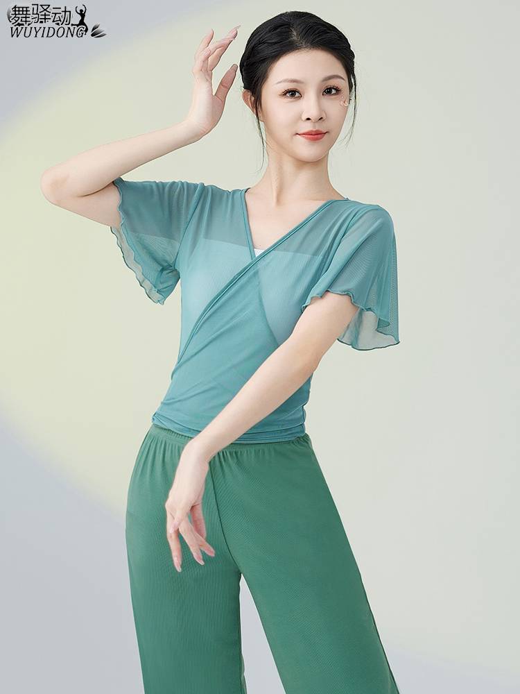 Dance gauze classical dance service summer new elegant net gauze Chinese dance base training skills