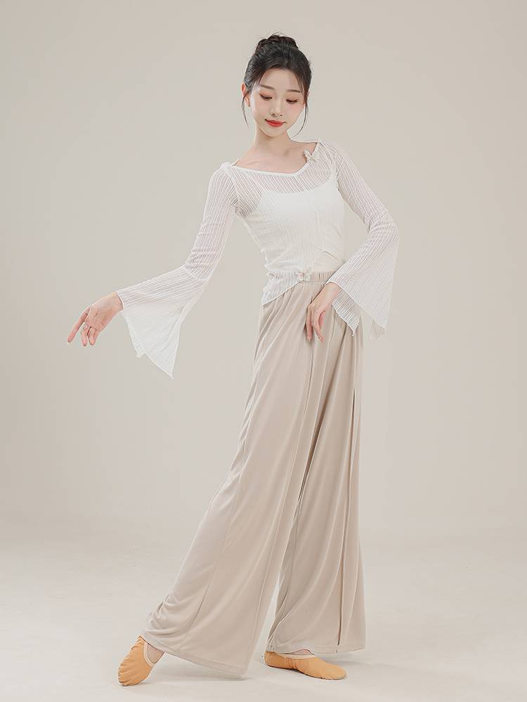 Chun Ruoji Classical Dance clothes gauze female Chinese dance ancient style fairy, elegant body rhyme, modern dance performance clothes