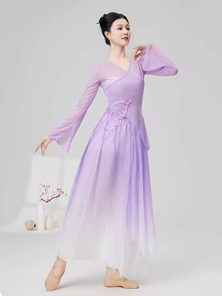 Classical dance clothes body rhyme gauze practice service butterfly dance clothing fairy fluttering performance clothing set new female