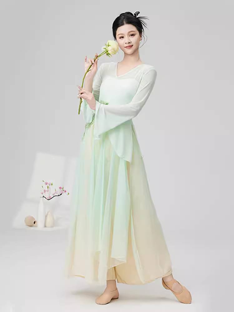 Classical dance clothes body rhyme gauze practice service butterfly dance clothing fairy fluttering performance clothing set new female