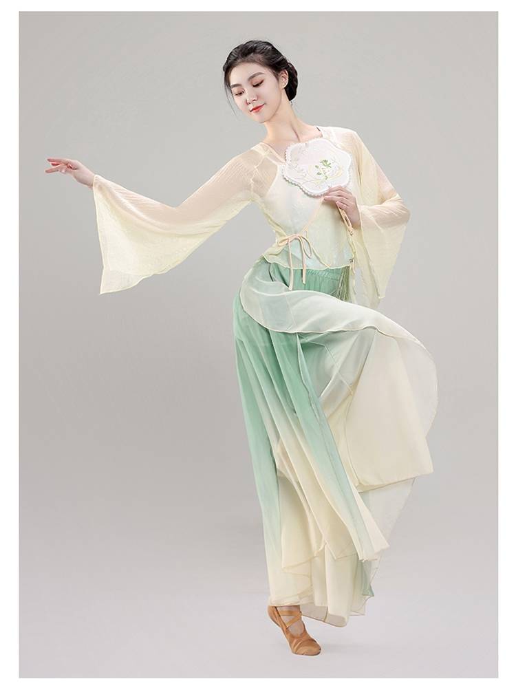Classical dance body rhyme gauze female immortal elegant chiffon training clothes top Chinese dance clothing new performance service