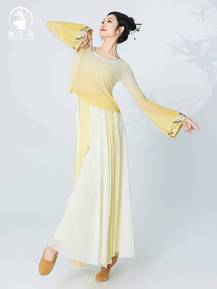 Summer dance protagonist Classical dance clothing female elegant gradient gauze performance service Chinese style dance practice service