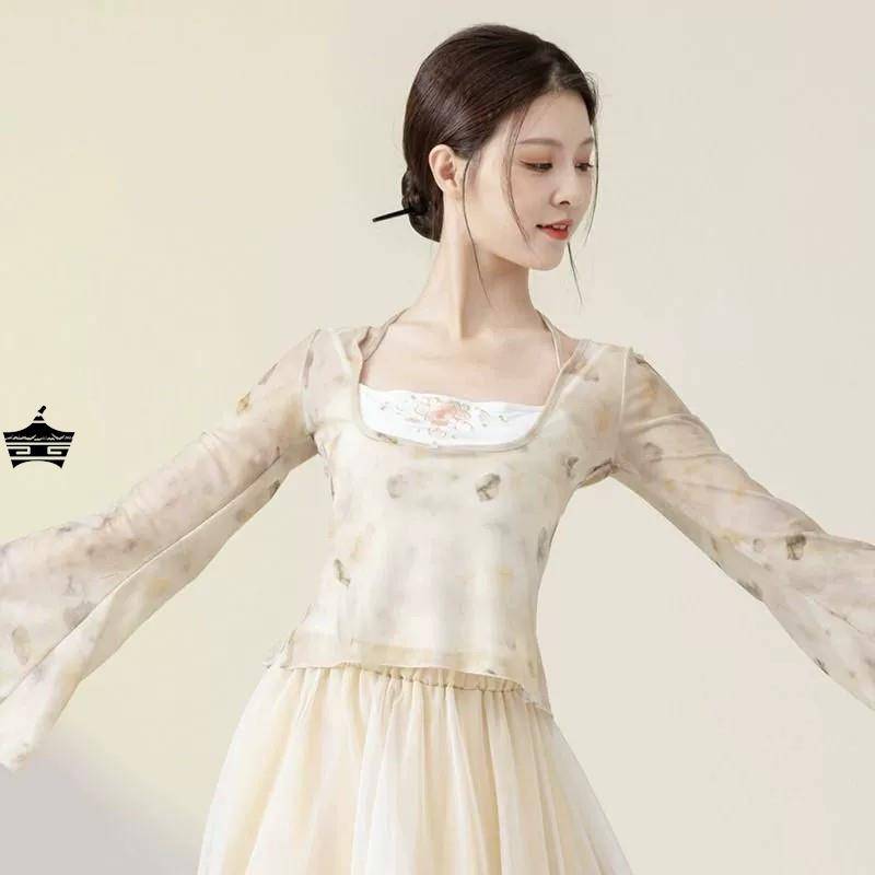 Temperament Classical Dance Dance Cloths Wear elegant Chinese dance dance clothes