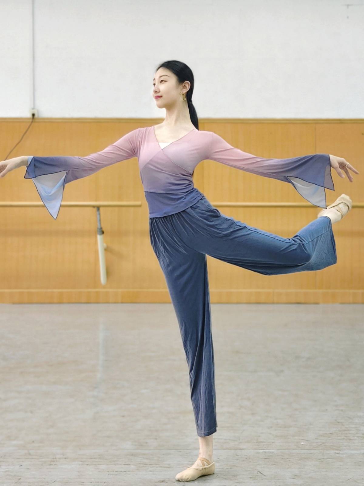 Born classical dance exercises, body rhyme clothes, gauze, Chinese dance dance clothing, female elegant top dressing show show