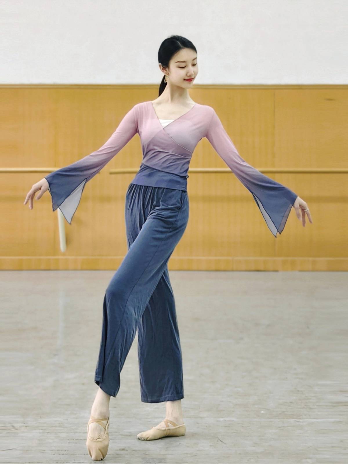Born classical dance exercises, body rhyme clothes, gauze, Chinese dance dance clothing, female elegant top dressing show show