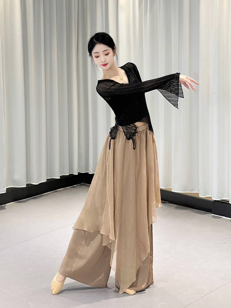 Classical dance clothing net yarn gauze butterfly body rhyme body service exercise skills Chinese dance performance service long -sleeved stage outfit