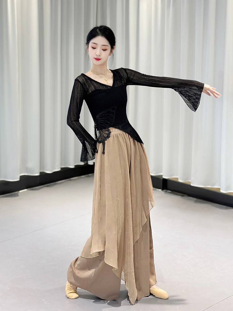 Classical dance clothing net yarn gauze butterfly body rhyme body service exercise skills Chinese dance performance service long -sleeved stage outfit
