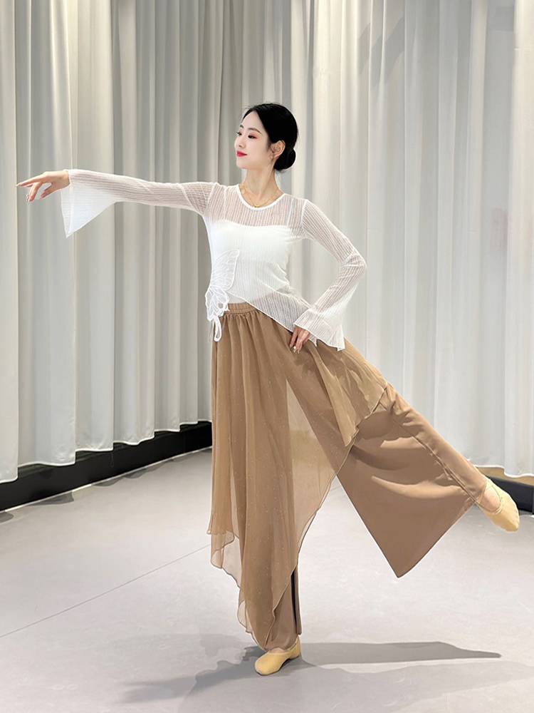 Classical dance clothing net yarn gauze butterfly body rhyme body service exercise skills Chinese dance performance service long -sleeved stage outfit