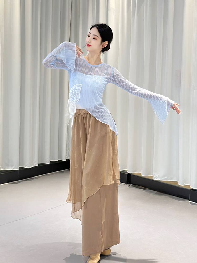 Classical dance clothing net yarn gauze butterfly body rhyme body service exercise skills Chinese dance performance service long -sleeved stage outfit