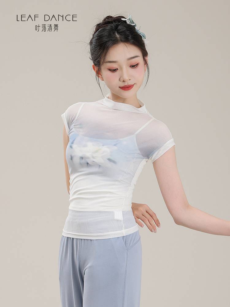 Ye Luo Qing Dance Classical Dance Landy Print Short -sleeved Long -sleeved Charm Charm Chinese Dance Modern Dance Dance Dance Series