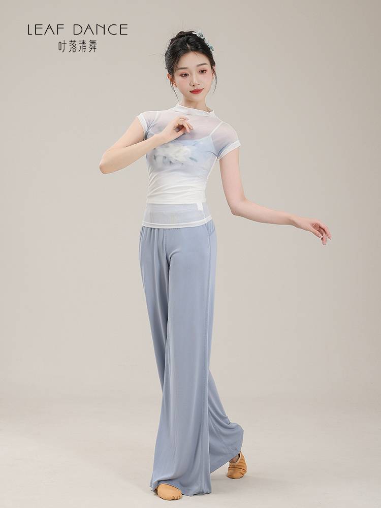 Ye Luo Qing Dance Classical Dance Landy Print Short -sleeved Long -sleeved Charm Charm Chinese Dance Modern Dance Dance Dance Series
