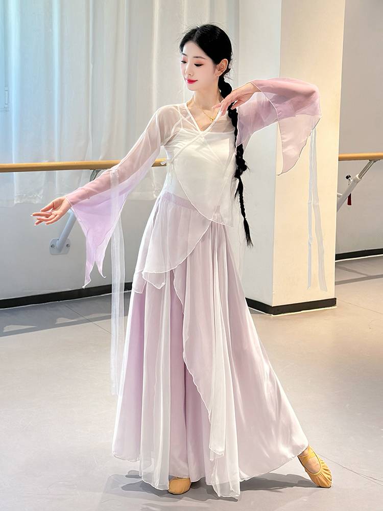 Classical dance clothing female elegant clothing body rhyme, gathers dresses, Chinese dance big skirt practice service performance service