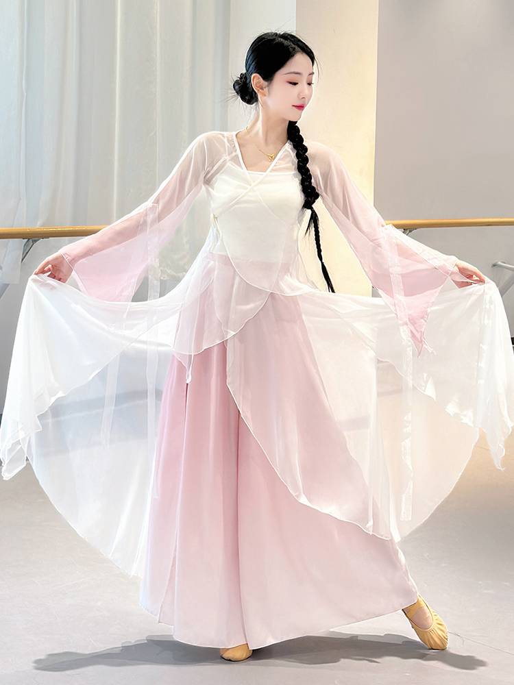 Classical dance clothing female elegant clothing body rhyme, gathers dresses, Chinese dance big skirt practice service performance service