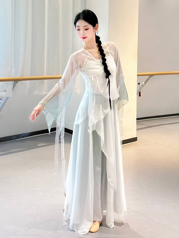 Classical dance clothing female elegant clothing body rhyme, gathers dresses, Chinese dance big skirt practice service performance service