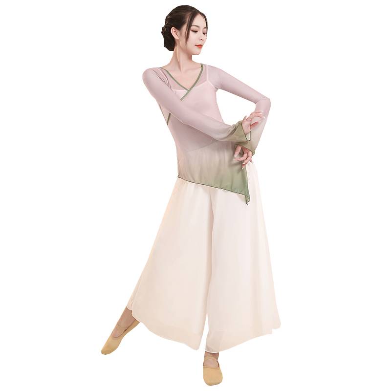 Classical dance clothing female elegant practice service Chinese style art test clothing body rhyme yae Chinese dance performance suit suits