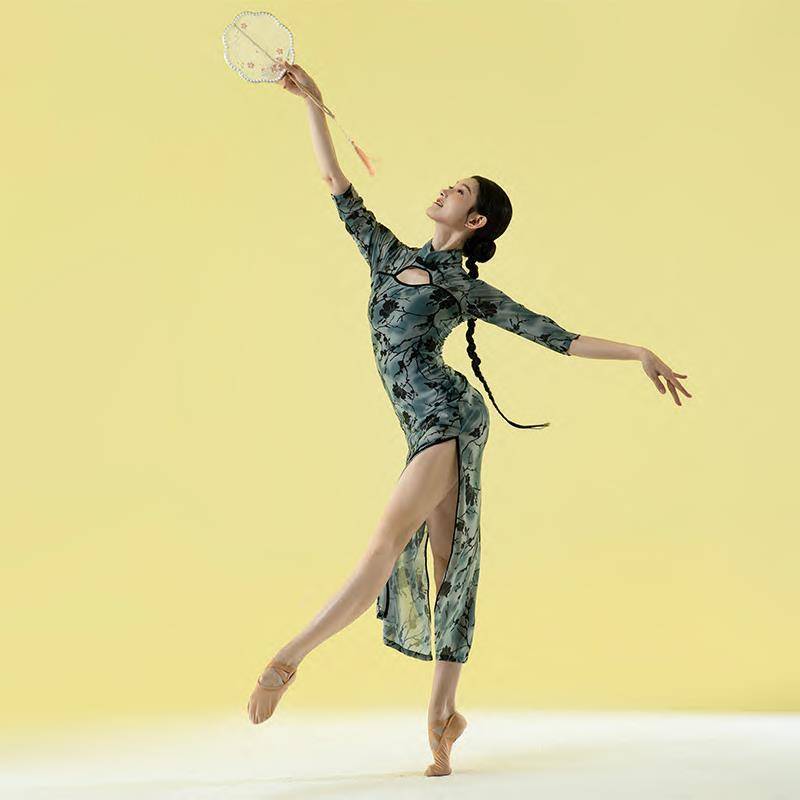 Classical Dance Moisturizing Cheongsam Dance Series Sexy Guofeng Dance Special Hyundai 2024 New Professional Performance Clothing