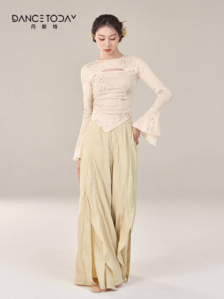 Dancetoday Classical Dance Server Fairy Fairy Gauze Yaodong Clothing Long Sleeve Grade Female Art Test Fair Performance Services