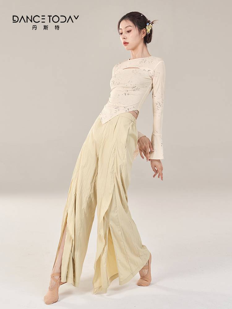 Dancetoday Classical Dance Server Fairy Fairy Gauze Yaodong Clothing Long Sleeve Grade Female Art Test Fair Performance Services