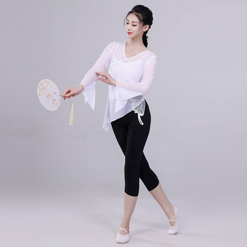 Classical Dance Dance Gonggong Dressed Gauze Body Rhyme Butterfly Performing Female Female China Wind Modern Dance Plaza Dance top