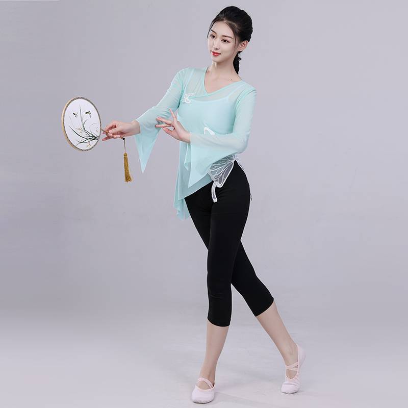 Classical Dance Dance Gonggong Dressed Gauze Body Rhyme Butterfly Performing Female Female China Wind Modern Dance Plaza Dance top