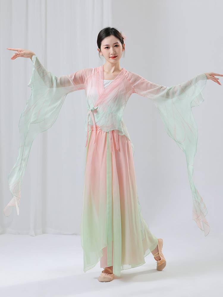 Classical Dance Performance Performance Gong Female Graduate Grand Rhyme Chinese Dance Flowing Performance Server Butterfly Dance Clothing