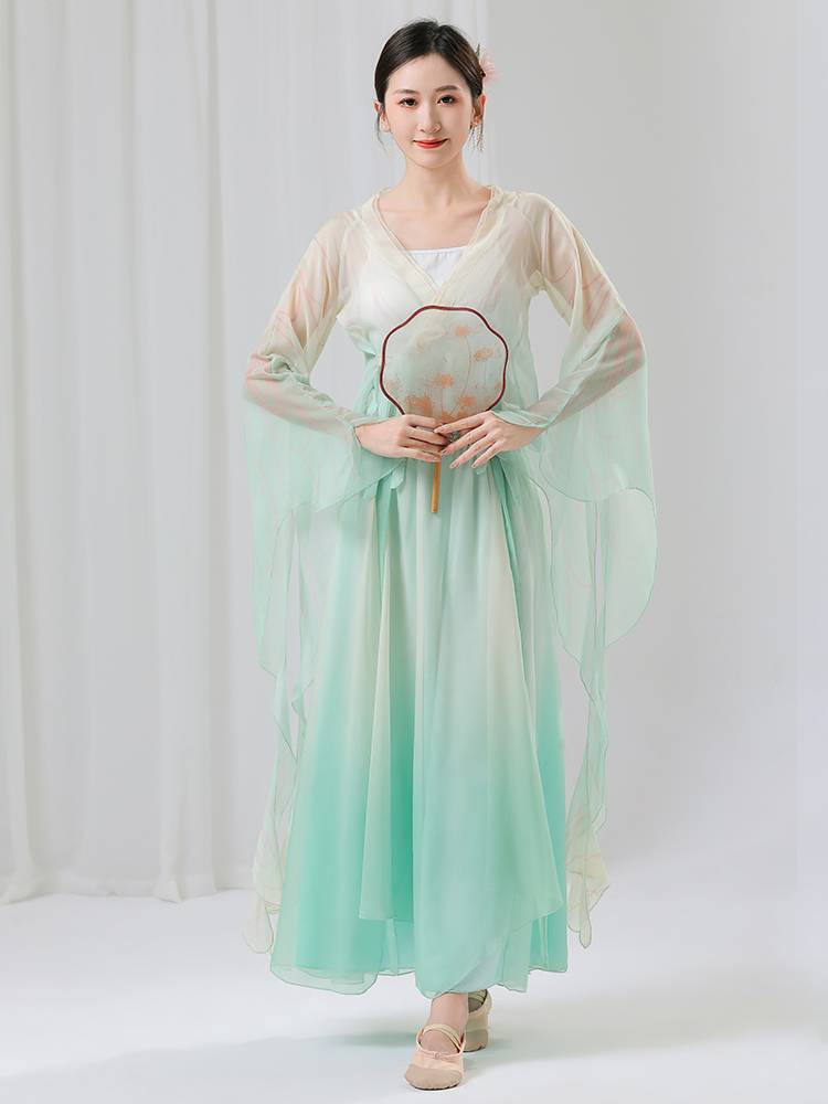 Classical Dance Performance Performance Gong Female Graduate Grand Rhyme Chinese Dance Flowing Performance Server Butterfly Dance Clothing
